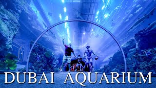 Exploring DUBAI AQUARIUM amp UNDERWATER ZOO [upl. by Hermia]