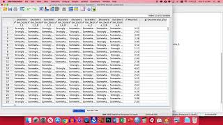 SPSS  Survey Analysis [upl. by Cilo109]