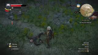 Lambert Death scene RARE witcher 3 [upl. by Czarra]