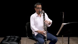 Instrument Bass Clarinet In Depth [upl. by Akkire]