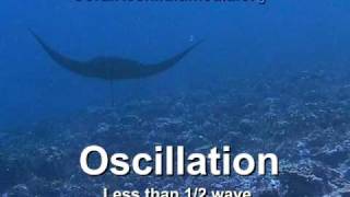 Undulation vs Oscillation [upl. by Anicul]