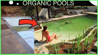 DIY Transformation to Organic Pool in 5 minutes [upl. by Josee]