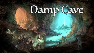 DampD Ambience  Damp Cave [upl. by Hakceber537]