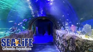 SEA LIFE Orlando Aquarium Full Walkthrough  Reopening Day [upl. by Pump]