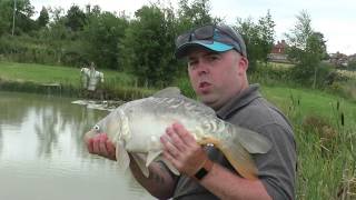 Big Carp In The Margins With The Shimano Beast Master [upl. by Sena]