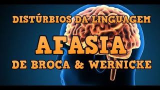 Distúrbios da Linguagem  Afasia de Broca amp Wernicke [upl. by Marilin]