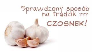 Mój sprawdzony sposób na trądzik  pryszcze  CZOSNEK [upl. by Perce]