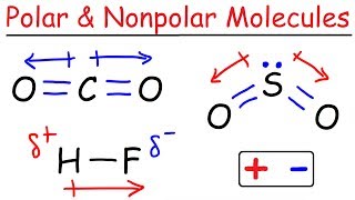 Polar and Nonpolar Molecules [upl. by Veats800]