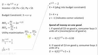 Utility Maximization A Corner Solution [upl. by Antonio461]