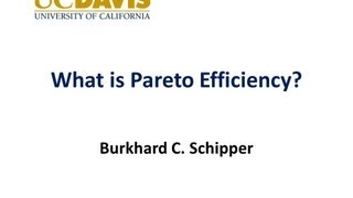 Pareto Efficiency [upl. by Seana]