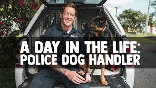 A Day in the Life Police Dog Handler [upl. by Halbert]