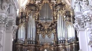 The Largest Cathedral Organ [upl. by Daraj]