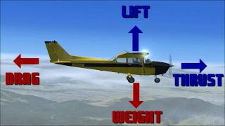 The Aerodynamics of Flight [upl. by Wendie]