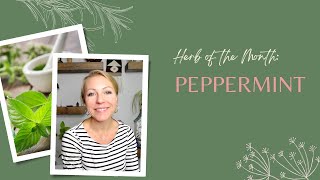 Herb of the Month Peppermint [upl. by Uriia]