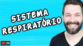 SISTEMA RESPIRATÓRIO  FISIOLOGIA  Biologia com Samuel Cunha [upl. by Morganstein]