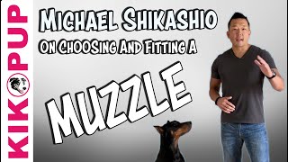 Learn About Fitting a Muzzle from Expert Michael Shikashio [upl. by Naillik]