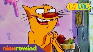 CatDog Candy Company  CatDog  Nicktoons [upl. by Ajup]