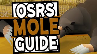 The Ultimate Giant Mole Guide in OSRS 2020 [upl. by Delilah646]