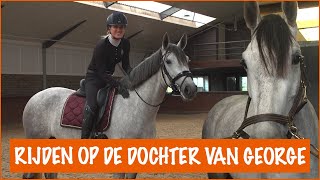 OP BEZOEK BIJ GEORGES DOCHTER  PaardenpraatTV [upl. by Lezah]