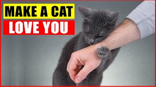 10 Scientific Ways to Get a Cat to Like You [upl. by Rosamund]