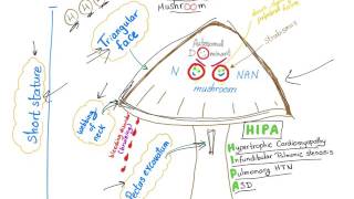 Noonan Syndrome  The Mushroom mnemonic [upl. by Burwell]