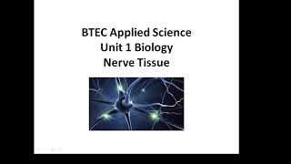 BTEC Applied Science Unit 1 Biology Nerve Tissue [upl. by Drexler]