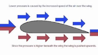 Bernoullis Principle [upl. by Iona]