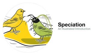 Speciation An Illustrated Introduction [upl. by Burch]