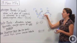 Intermolecular Forces [upl. by Arias]