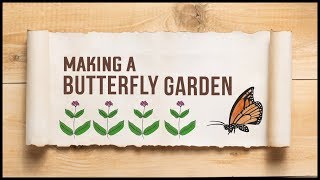 How to Create A Butterfly Garden [upl. by Tavia]