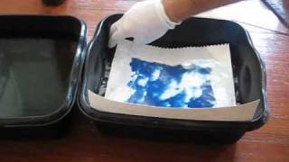 how to make a cyanotype print [upl. by Woodsum7]