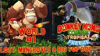 Donkey Kong Country Tropical Freeze Walkthrough 1 Lost Mangroves Gameplay HD [upl. by Tomasina937]