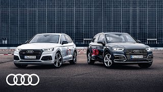 Audi SQ5 vs Audi Q5 TFSI e  HighPerformanceSUV gegen effizienten PluginHybriden [upl. by Stutzman]