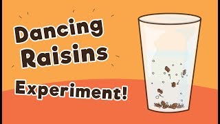 Dancing Raisins Experiment  Sprite and Raisins [upl. by Lawrence946]