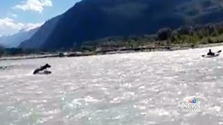 Bear charges at kayaker in river near Squamish BC [upl. by Ahcmis]