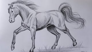 How to draw a Horse step by step  Pencil Shading Drawing [upl. by Yllas]