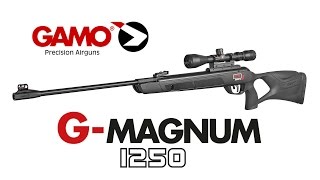 Gamo GMAGNUM 1250 Air Rifle [upl. by Victor]