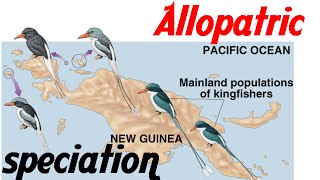 Allopatric speciation animation [upl. by Giardap819]