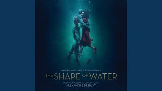 The Shape Of Water [upl. by Elwina]