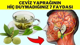 CEVİZ YAPRAĞININ ŞAŞIRTICI 7 FAYDASI  Ceviz Yaprağı Çayı Nasıl Yapılır  Ceviz Yaprağının Faydaları [upl. by Paulette458]