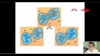 Speciation Part 1 Allopatric vs Sympatric [upl. by Ax848]