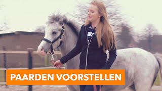 Paarden voorstellen met Esra  PaardenpraatTV [upl. by Domella]