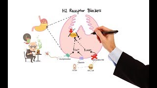 Pharmacology  ANTIHISTAMINES MADE EASY [upl. by Ailemak]