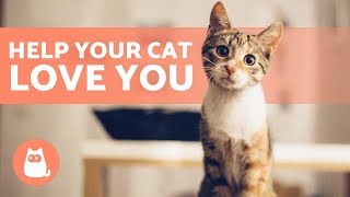 How to Make Your CAT LOVE You 😻 4 Tips to Improve Your Bond [upl. by Cynera]