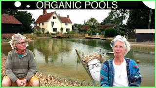 Making an OrganicNatural Pool with no liner [upl. by Honey]