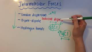 Intermolecular Forces [upl. by Enwahs]