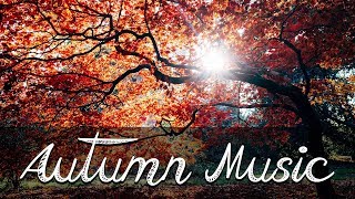 Peaceful music Relaxing  Nature Instrumental music quotComing Homequot Tim Janis [upl. by Akinyt837]