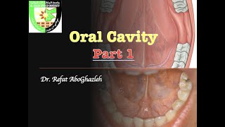 Oral Cavity  Part 1 [upl. by Yrallih105]