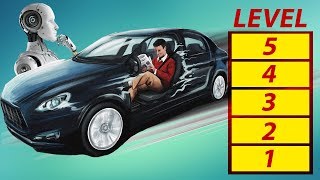 SelfDriving Car Levels Explained [upl. by Acinemod]