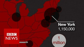 Where do Americas undocumented immigrants live BBC News [upl. by Airres]